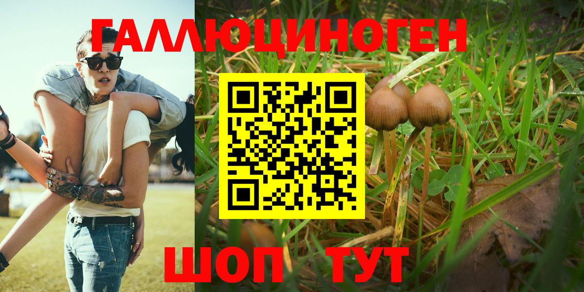 Галлюциногенные грибы MAGIC MUSHROOMS  Вход с VPN  Миллерово  Галлюциногенные грибы Psilocybe 