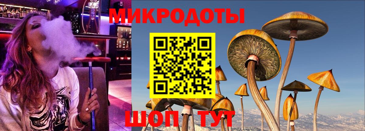 Псилоцибиновые грибы Cubensis Миллерово